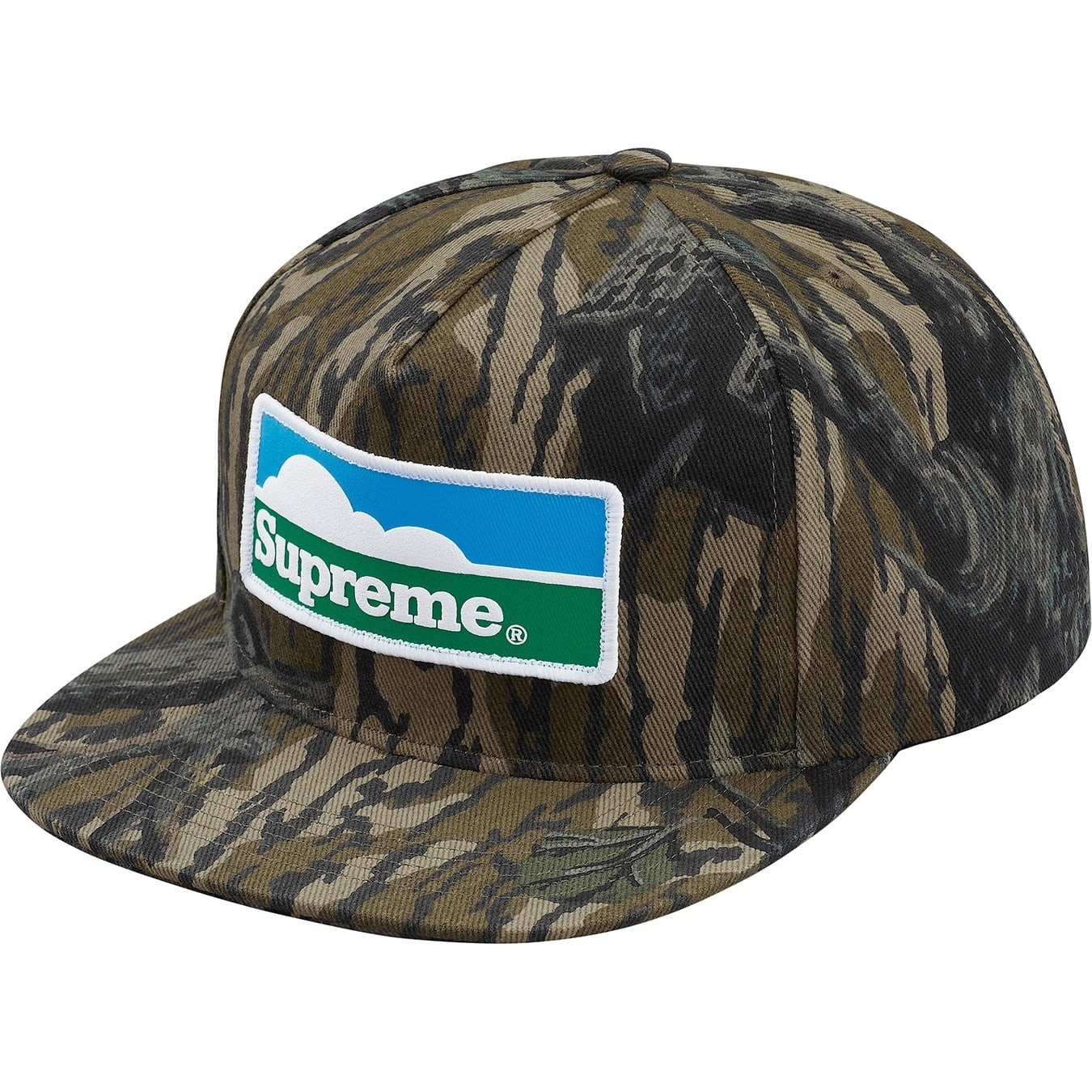 Horizon 5-Panel view 4